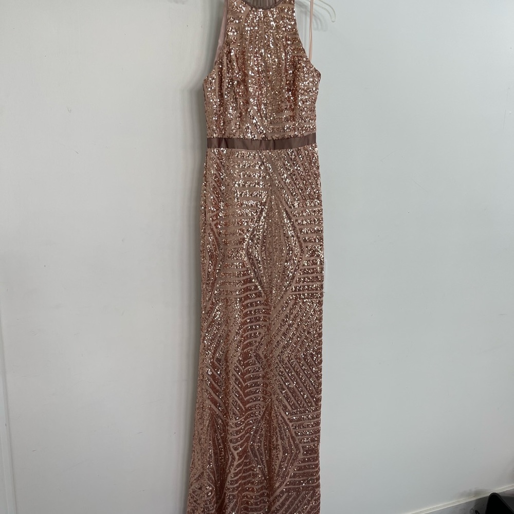 Cache maxi dress blush sequin rose gold size 10 NWT. Very pale almost skin color